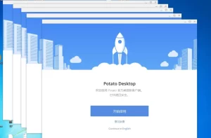 Potato 下载支持隐私模式吗？？